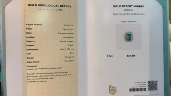 微信图片_20240802100847 SGARIT Fine Jewelry Factory Customized Solid 18k White Gold 2.71 Carats Emerald Cut Jewellery Classic Engagement Anniversary VVG Green Natural Gemstone Emerald Ring