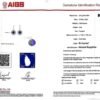微信图片_202408051426491 SGARIT Fine Jewelry Manufacturer Custom Real 18k White Gold 4.46 Carats Round Brilliant Cut Jewellery Luxury Natural Gemstone Sri Lanka Sapphire Earrings