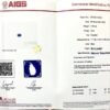 微信图片_202408061019346 SGARIT Fine Jewelry Manufacturer Custom Real 18k White Gold 3.15 Carats Oval Cut Jewellery Luxury Natural Gemstone Sri Lanka Cornflower Sapphire Earrings
