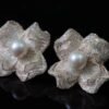 微信图片_202409261527502 14K Filled Gold Natural Edison Freshwater Pearls Earrings For Diy Jewelry Use