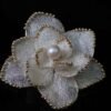 微信图片_20240928104539 14K Gold Filled Natural Freshwater Bead Pearls