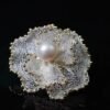 Natural Freshwater Pearl Ring 14K Gold Filled