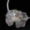 微信图片_20240928104615 Natural Freshwater Pearl Necklace 14K Gold Filled
