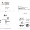 微信图片_202409281604272 Real 18k White Gold 1.75CT Natural Gemstone Unheated Papalacha Blue Sapphire Stud Earrings