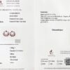 微信图片_20241119161211 Sgarit Fine Jewelry Solid 18K Gold 4.15Ct Natural Gemstone Pigeon Red Ruby Stud Earrings Jewellery For Women