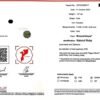 微信图片_202411191612432 Sgarit Fine Jewelry Solid 18K Gold 1.07Ct 1.02Ct Natural Gemstone Pigeon Red Ruby Stud Earrings Jewellery For Women